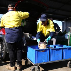 Two people emptying tins from car boot to large bucket