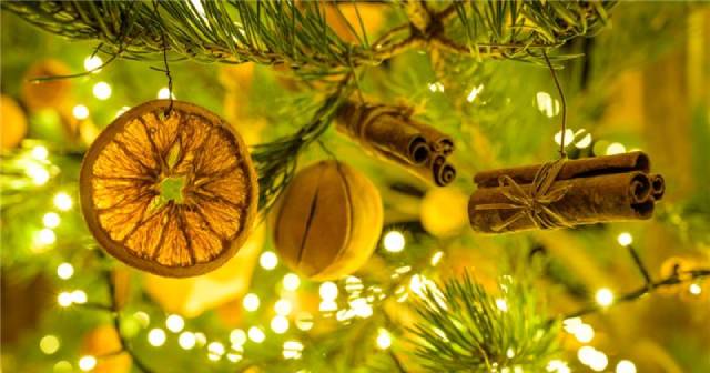 close up of christmas tree with dried fruit ornament