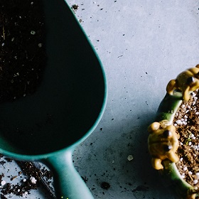 Composting_revised