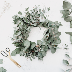 wreath made of eucalyptus leaves on white background