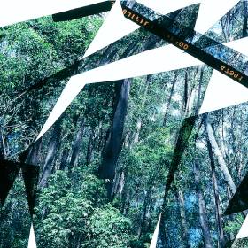 Cut out photos of trees in green and blue