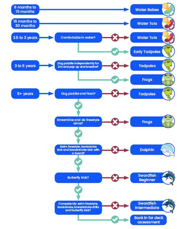 Flow chart showing learn to swim skill levels