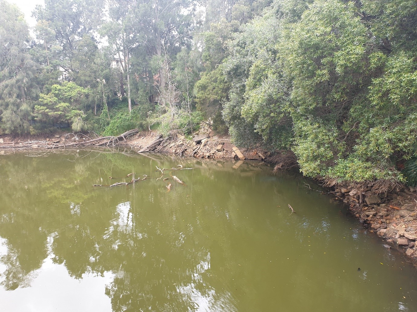 DIbble 2020 Waterhole Bank Looking East