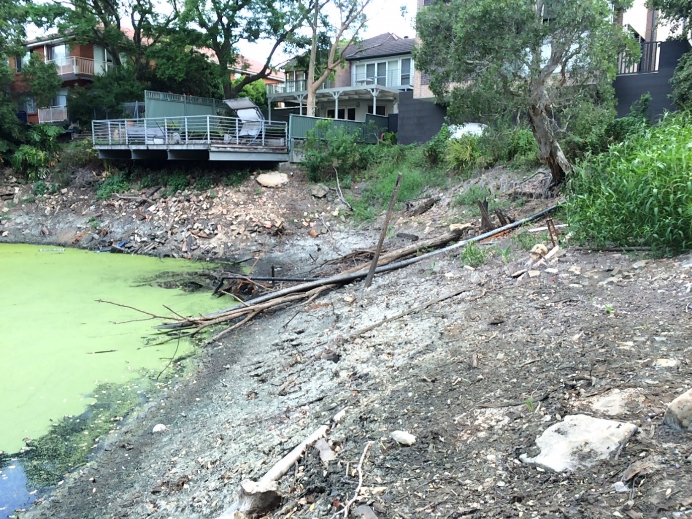 Dibble 2017 Waterhole Banks prior to works looking South