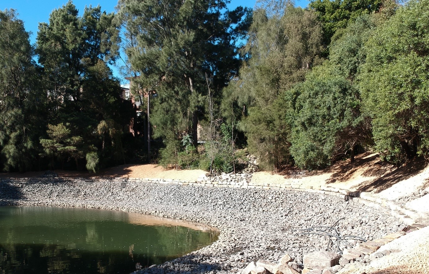 Dibble 2021 Waterhole bank looking East