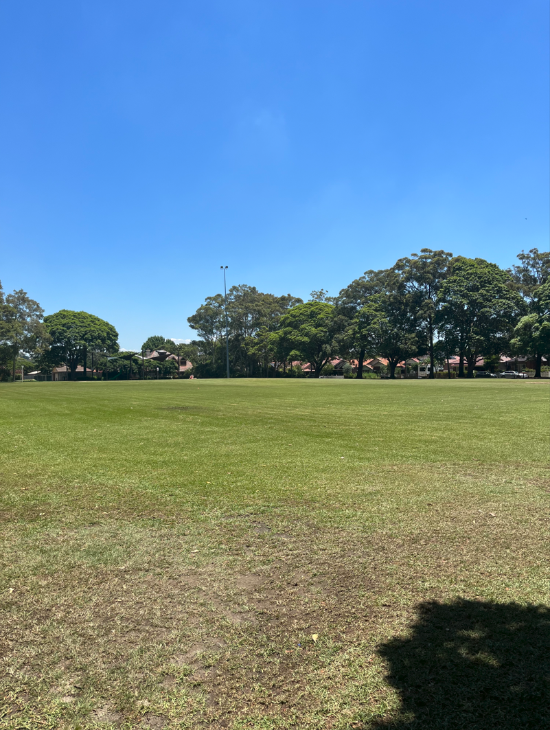 Park field