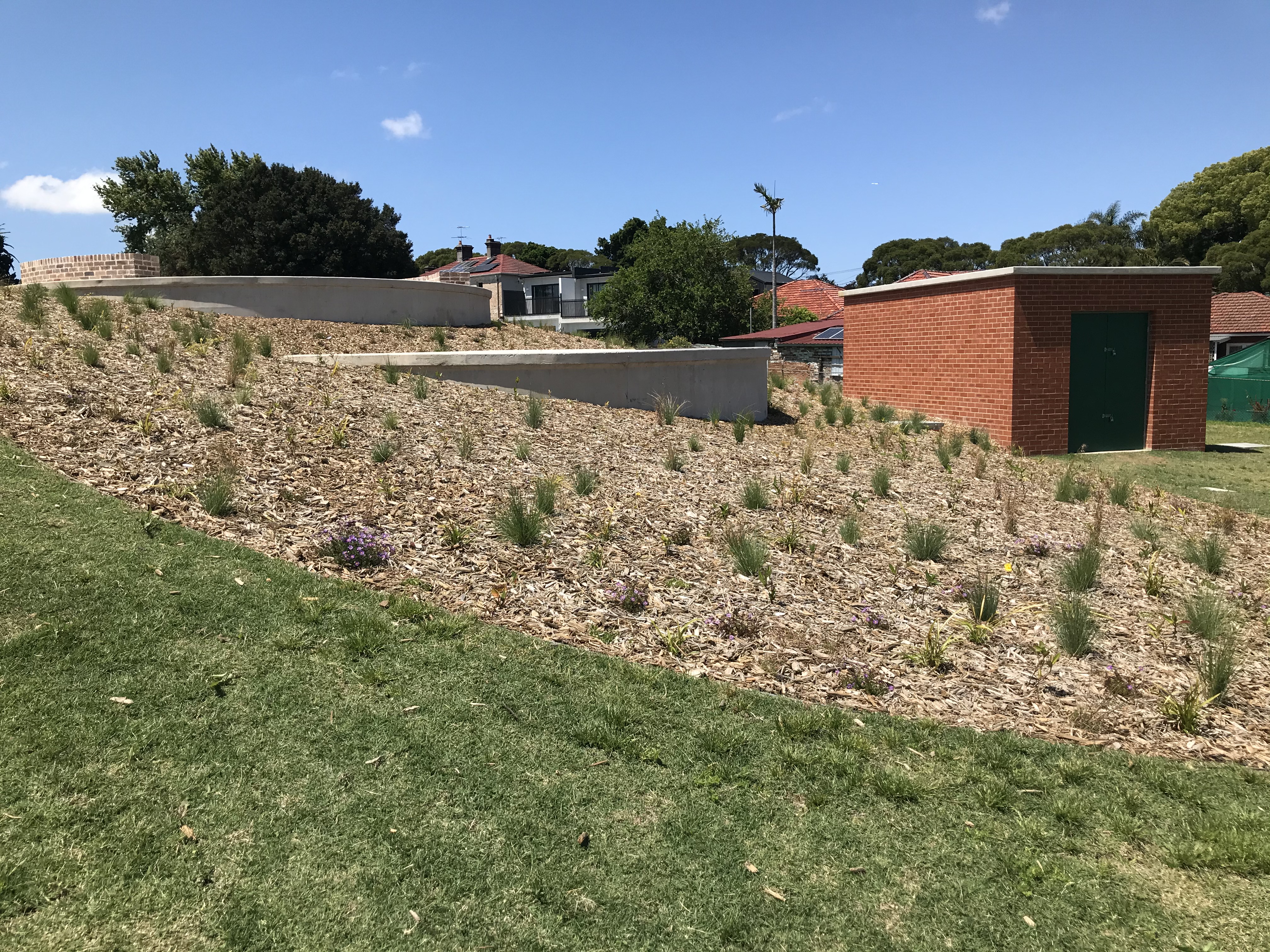 Henson Park - water tank plants Oct 21