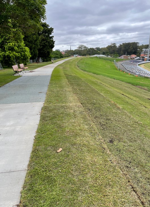 Henson Park construction progress