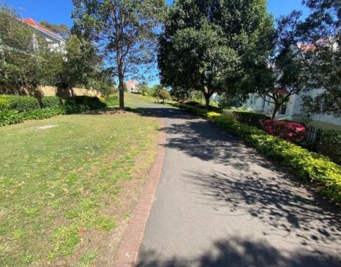 Rozelle Elliot Park  Long view West