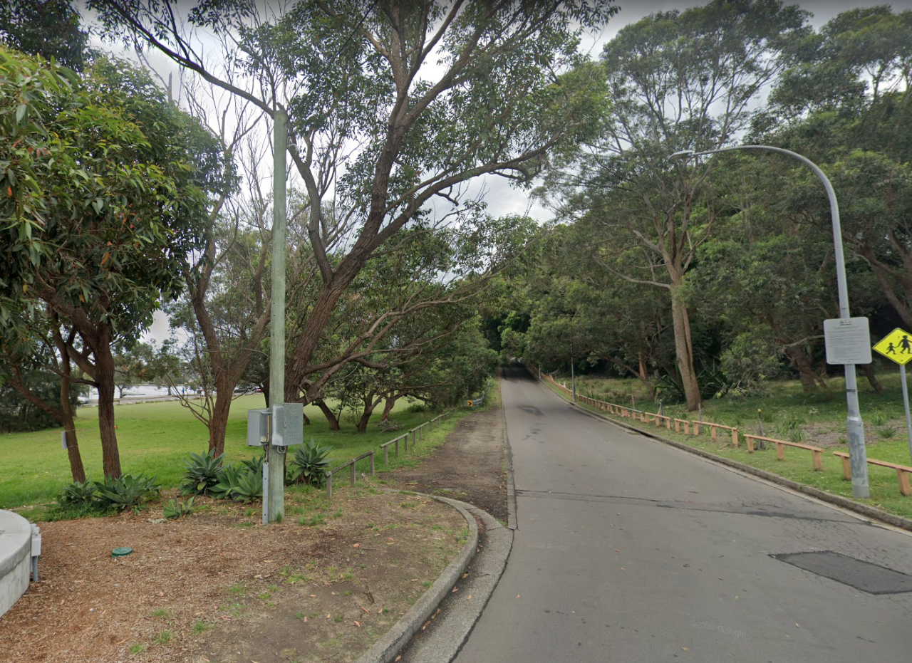 Road and trees