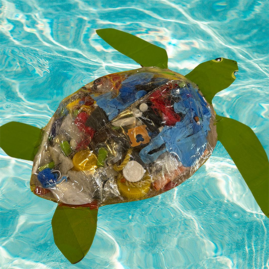 147_9282_02Apr2025101011_turtle1.jpg