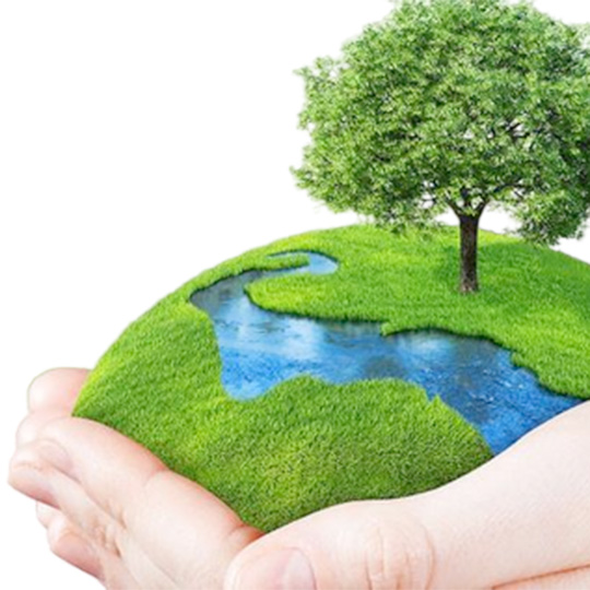 147_9282_18Aug2023163049_environmentday.jpg