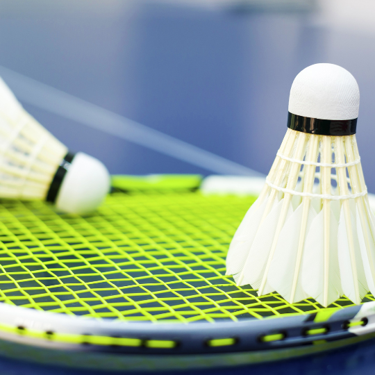 156_9282_18Jan2023094539_badminton_540.png