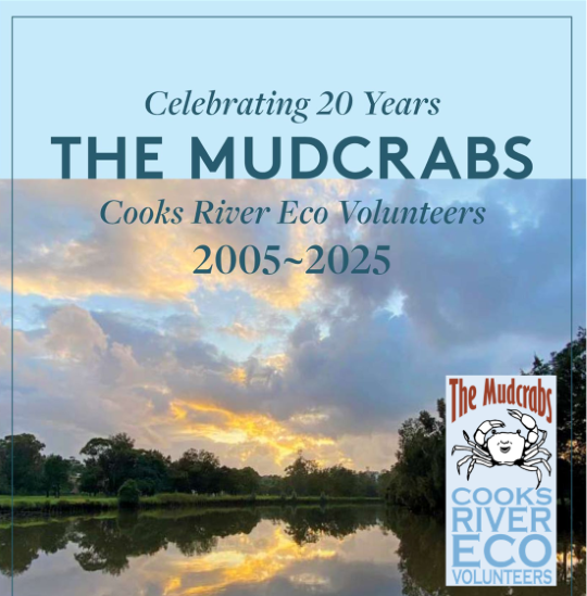 306_9282_13Mar2025160423_mudcrabs.png