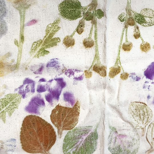 Colourful prints of leaves, flowers and petals on a piece of white fabric.