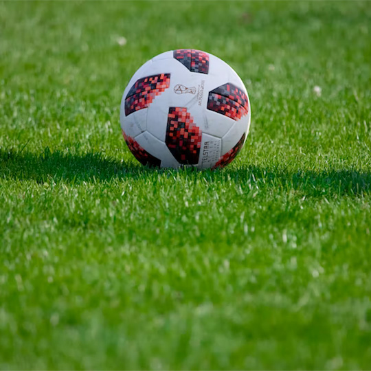 A soccer ball sitting stationary on grass.