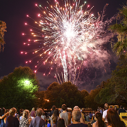 Australia Day in Enmore Park