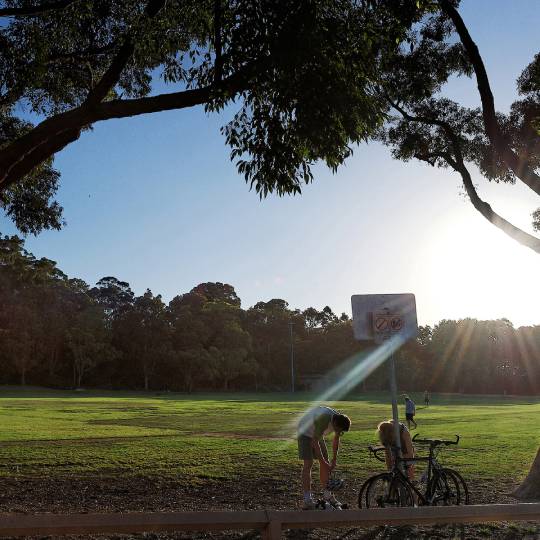 two bike riders stopping underneath the canopy of trees