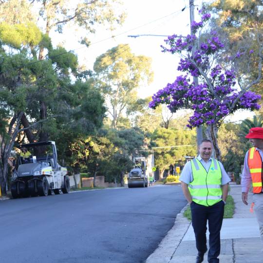 machinery road surfacing with a purple tree in the background