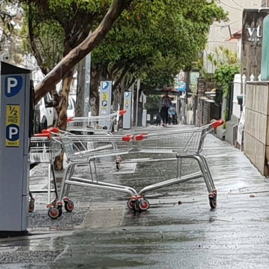 Abandoned shopping trolleys