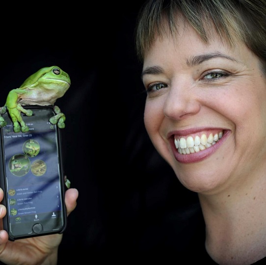 A green tree frog being held by a lady with short hair