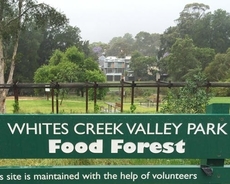 Food Forest Tour_230