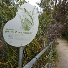 Wetlands-tour-230