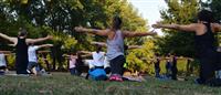 View from the back of a group of people in a park holding arms outstretched in a Pilates pose