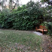 Side garden at Clontarf Cottage