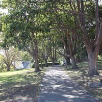 Elkington Park pathway