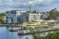 Colgate Palmolive blue buildings with two bright yellow and green ferries docked at wharves large bridge in background and green greenery in foreground