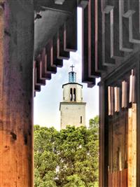 Cream coloured clock tower on blue sky behind green trees framed by wooden panelling