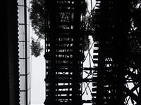 Black and white image looking up from ground through two silhouetted bridges one old one new plus silhouetted trees