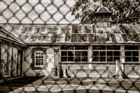 Sepia black and white image of tired historic building with brick and sandstone walls tin roof and windows with tree behind and wire fencing as blurred overlay in foreground