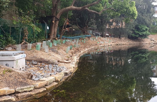 Reused timber pier stumps flank new outflow pit at Dibble Waterhole
