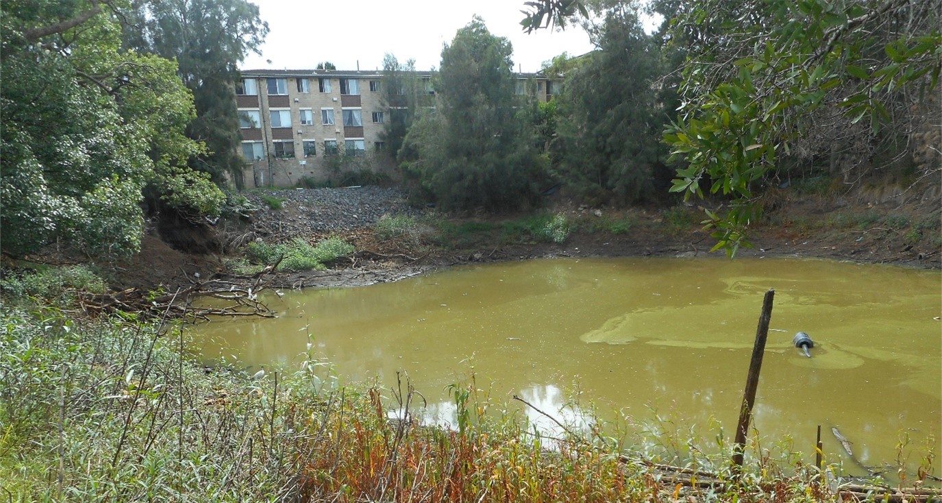 Dibble pond before stabilisation
