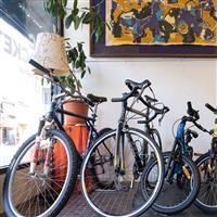 Bicycles on display in a store front