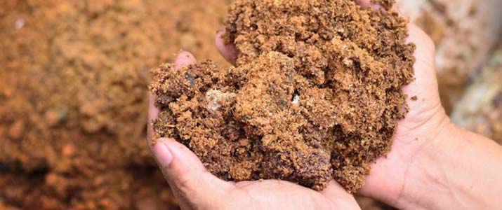 clay soil -