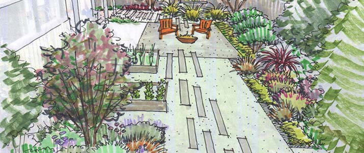 concept sketch of a garden