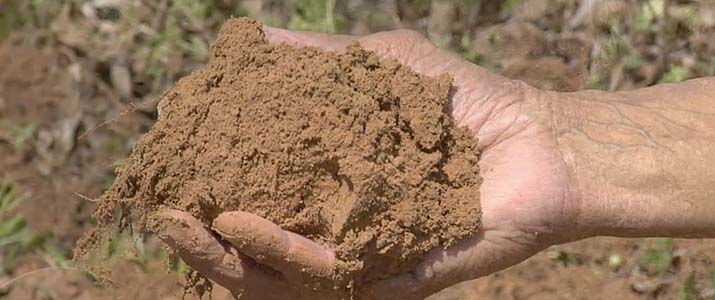 silty soil -