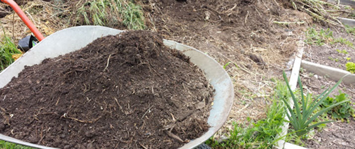 Improving soil quality - Inner West Council