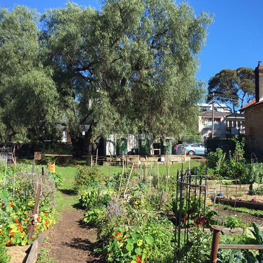 Whites Creek Community Garden 