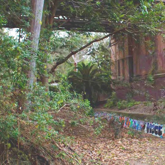 GreenWay near railway underpass 