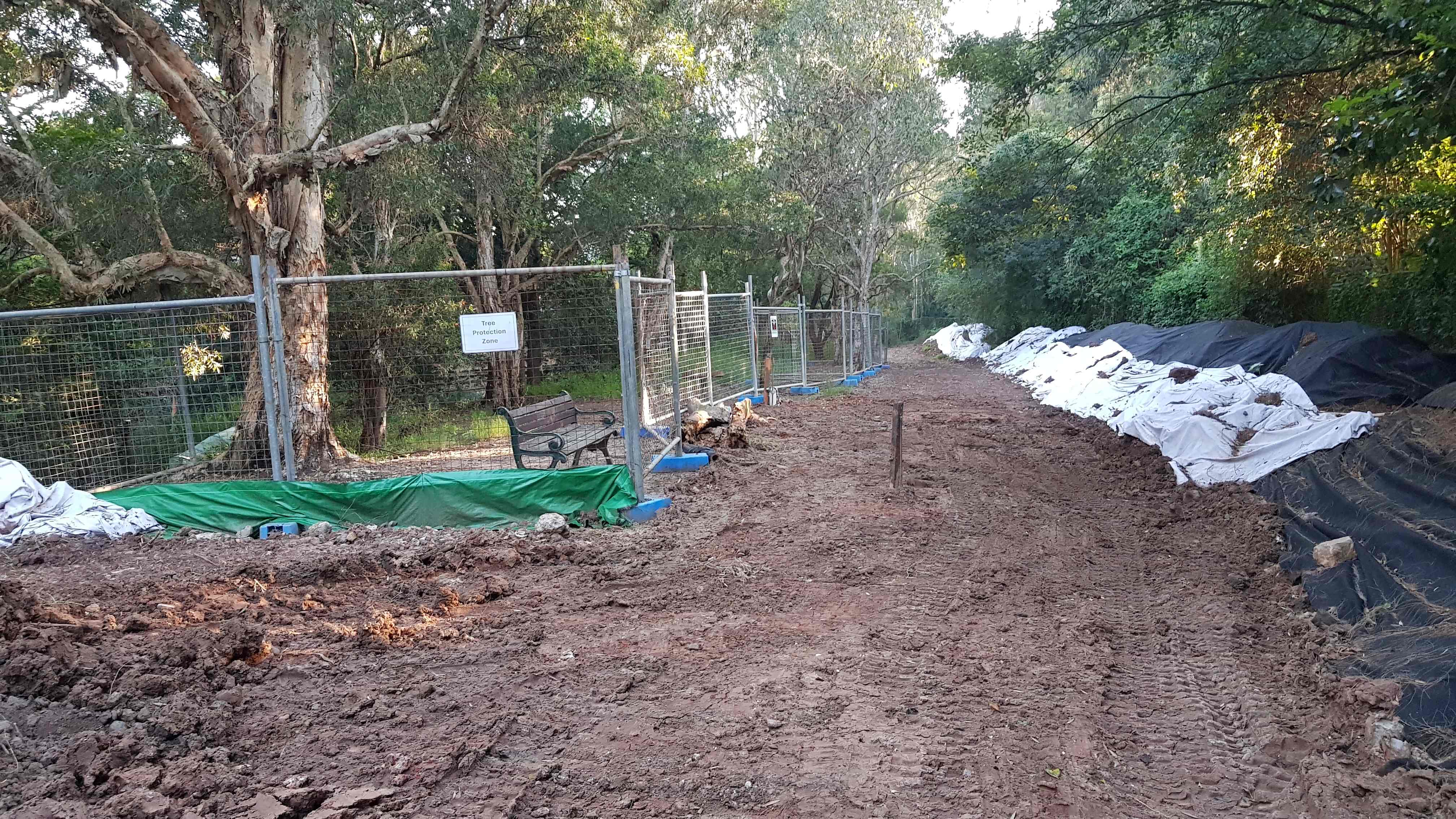 Cadigal tree protection zone and dust and runoff control