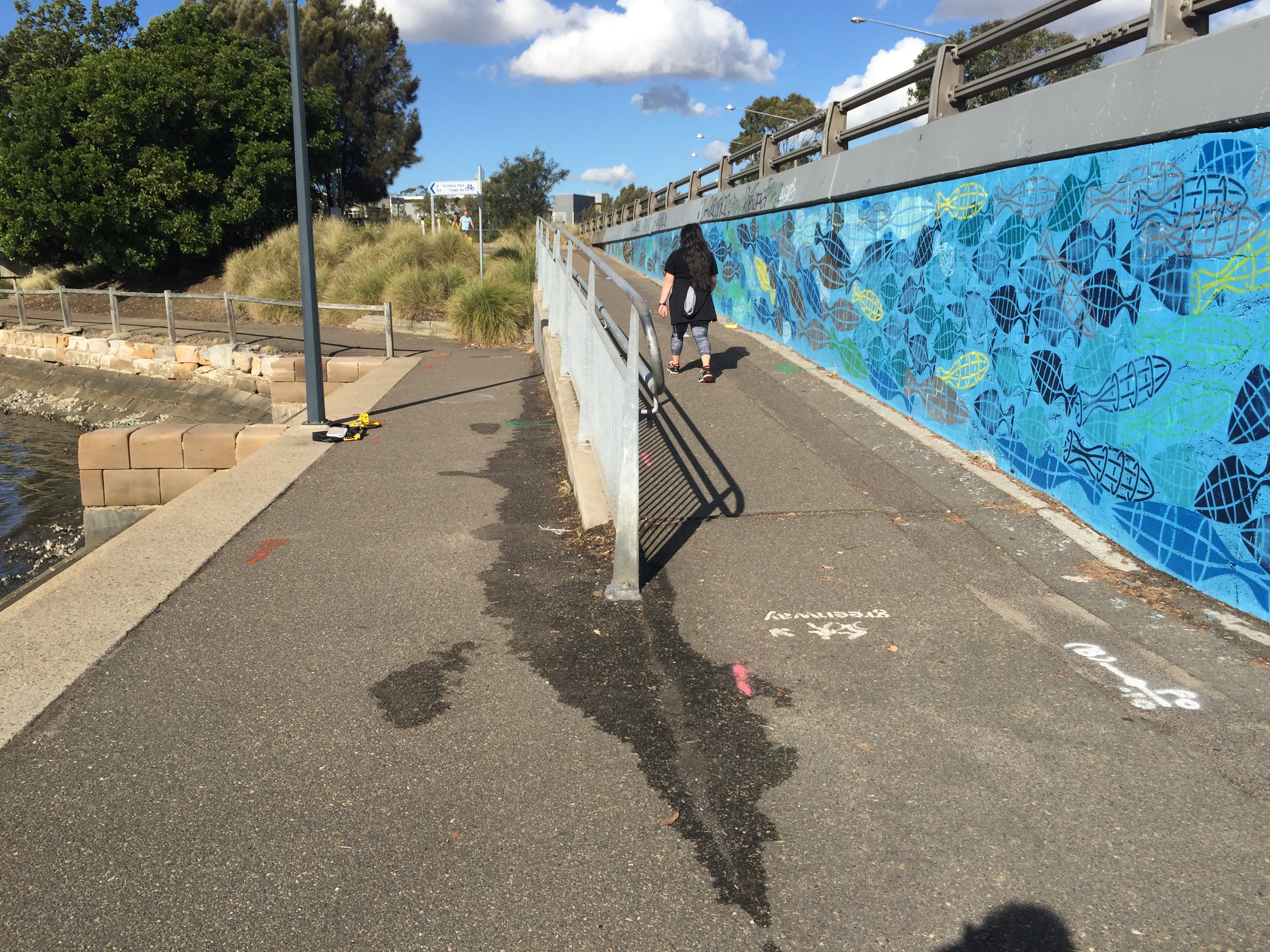 Existing Bay Run path up to Lilyfield Road Bridge