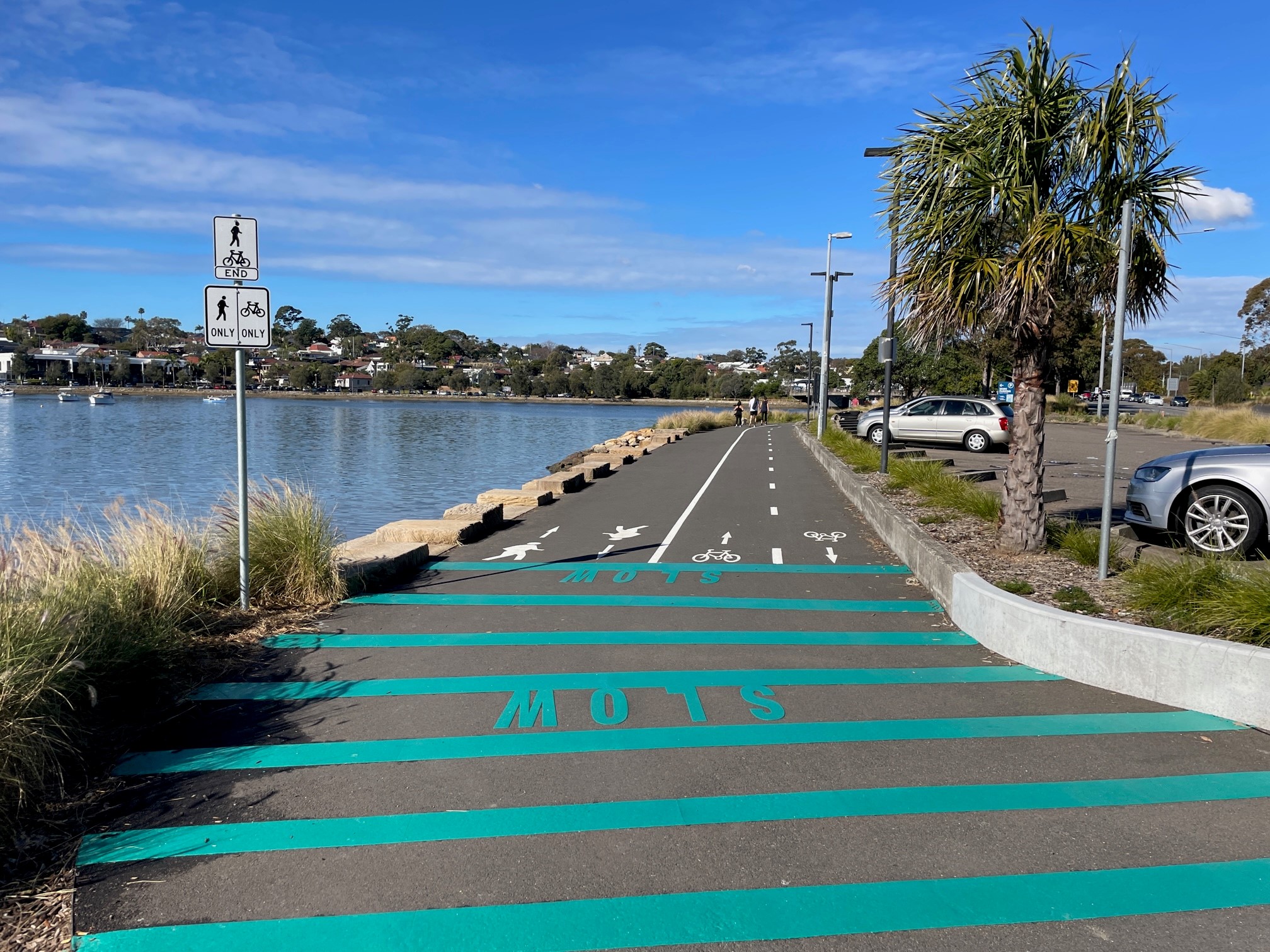 Line markings near UTS Rowing - July 23