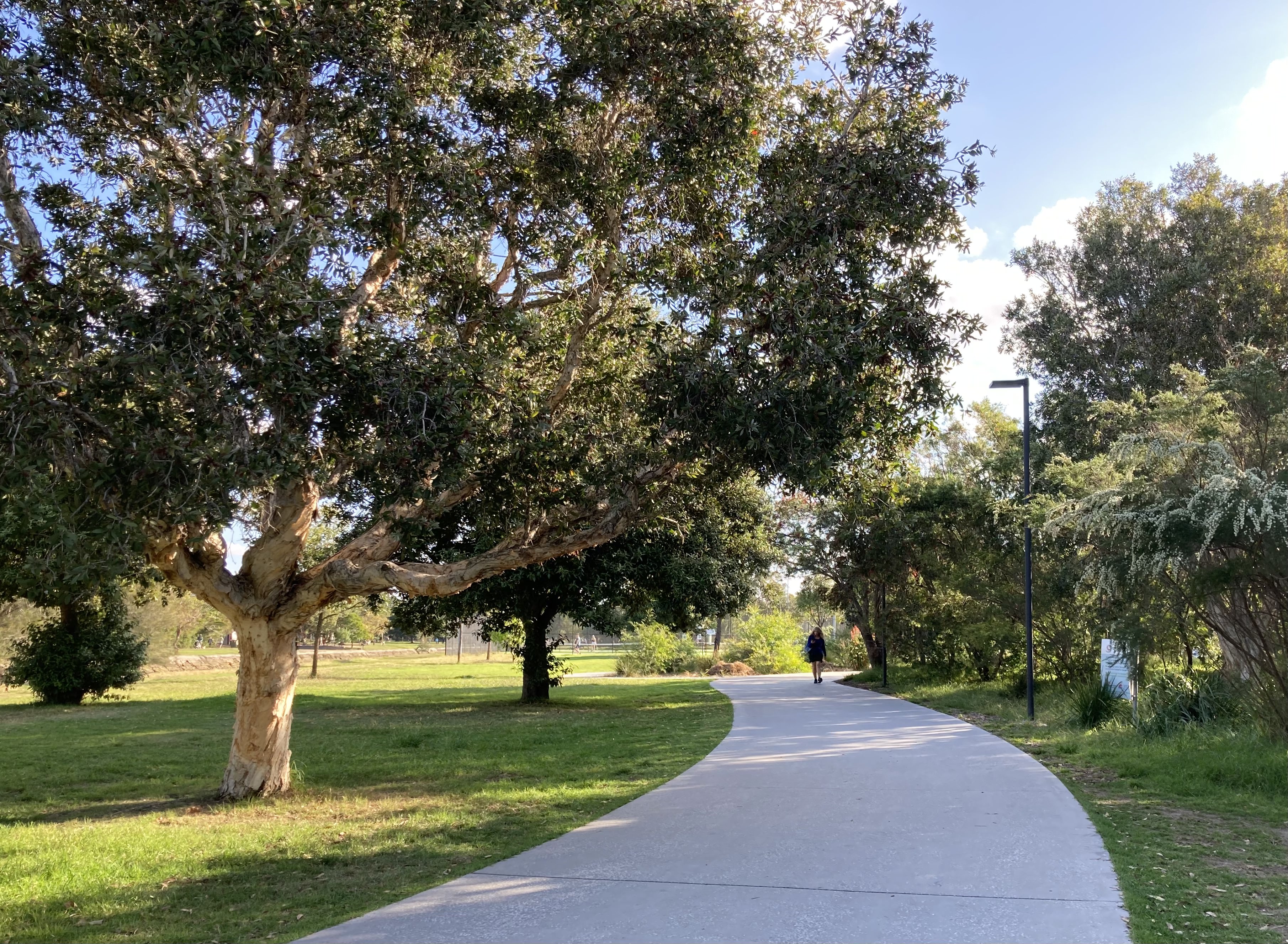 The upgraded path at Richard Murden Reserve