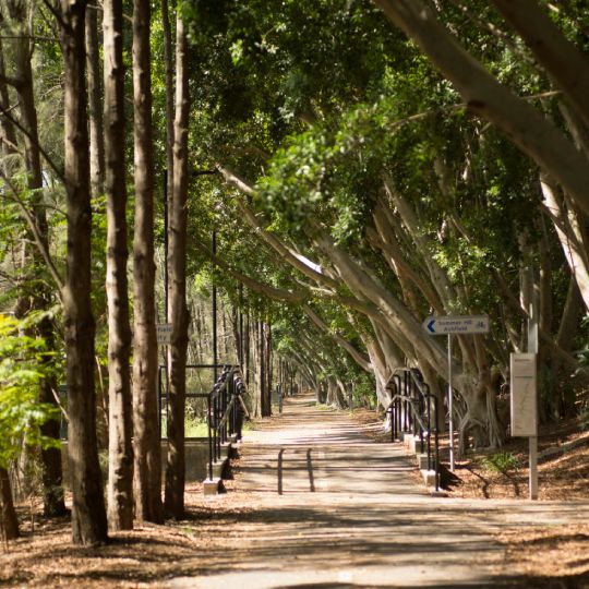 GreenWay passage