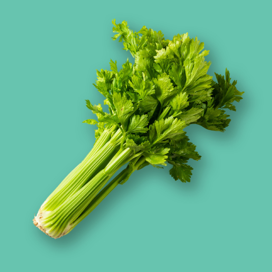 Celery