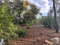 Ballast Point Park - Department of Planning and Environment